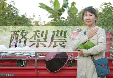 酪梨農