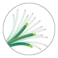 Suptex-AG+ 銀纖維彈性