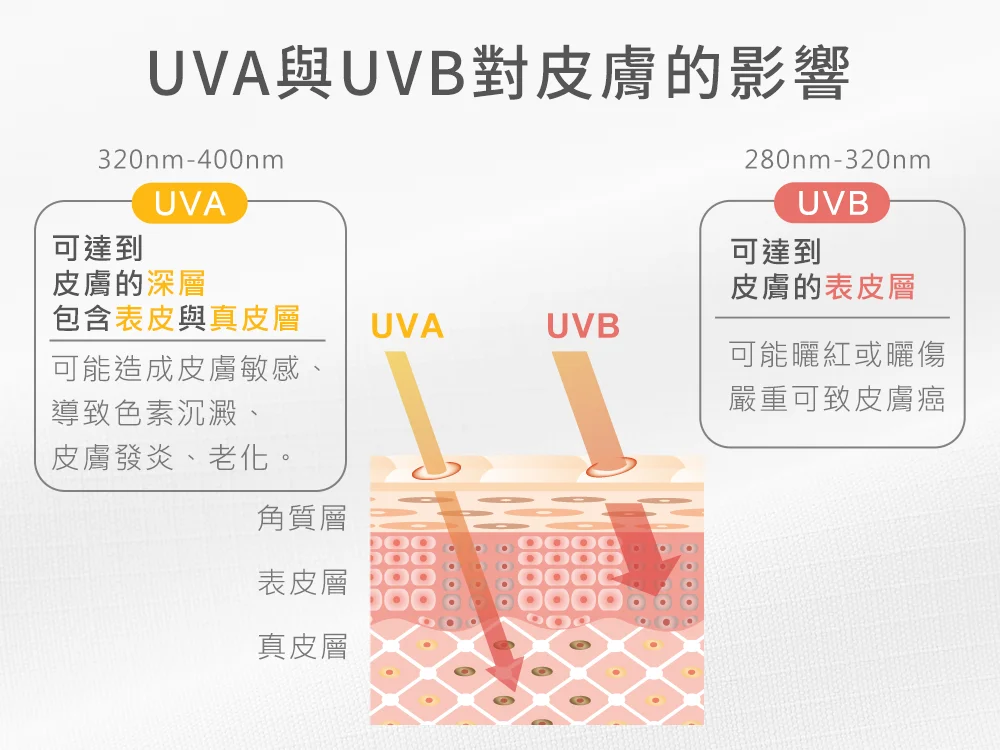 紫外線波長知識。UVA 長波紫外線與 UVB 中波紫外線對皮膚分層的傷害機制：詳細說明光老化、色素沉澱與皮膚癌風險的成因對比。
