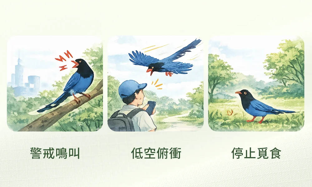 如何判斷自己是否干擾到鳥類棲地