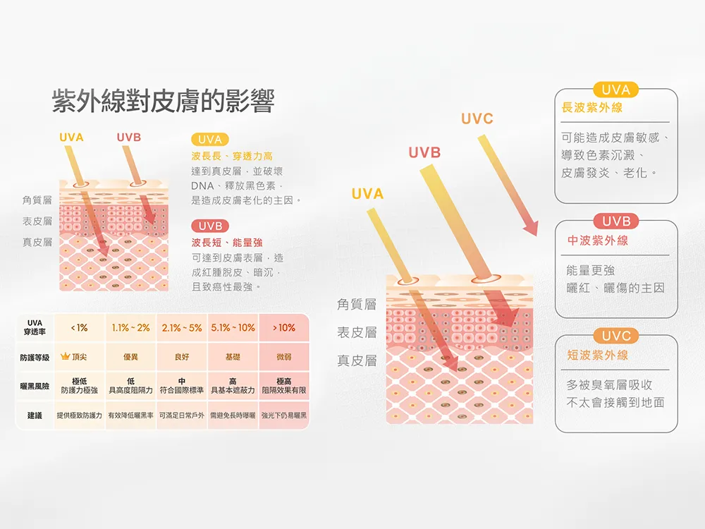 UVA、UVB和UVC 紫外線比較圖，說明UVA可深入真皮層造成老化，UVB主要影響表皮造成曬傷，並提供UVA穿透率與防護等級對照。